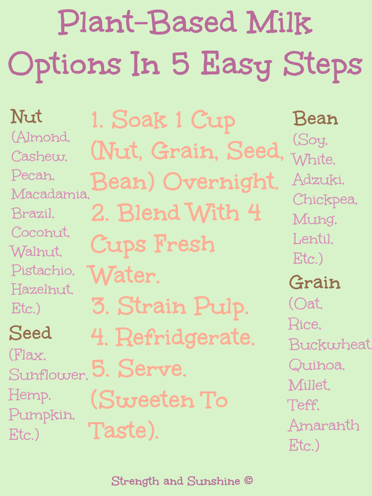 Plant Based Milk Options In 5 Easy Steps | Strength and Sunshine #plantbased #vegan #dairyfree