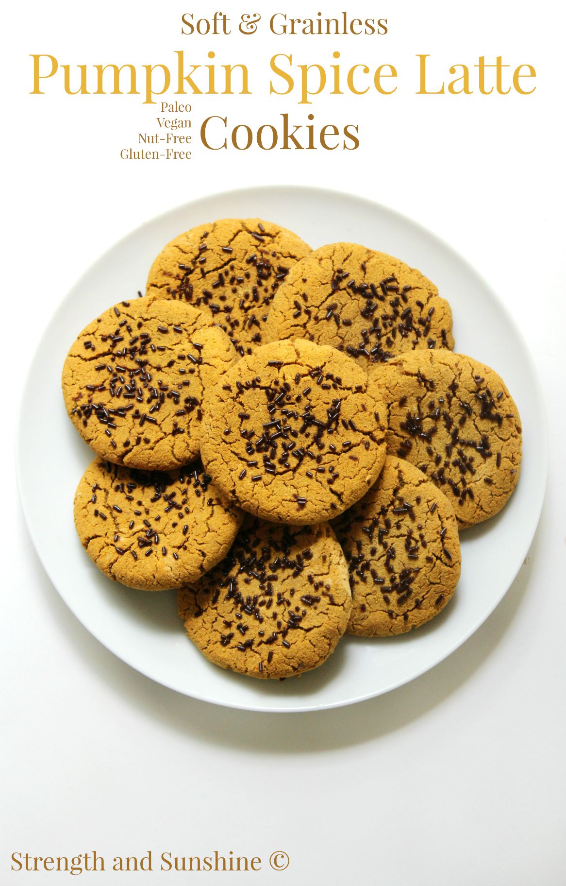 Pumpkin Spice Latte Cookies (Grainless, Vegan)