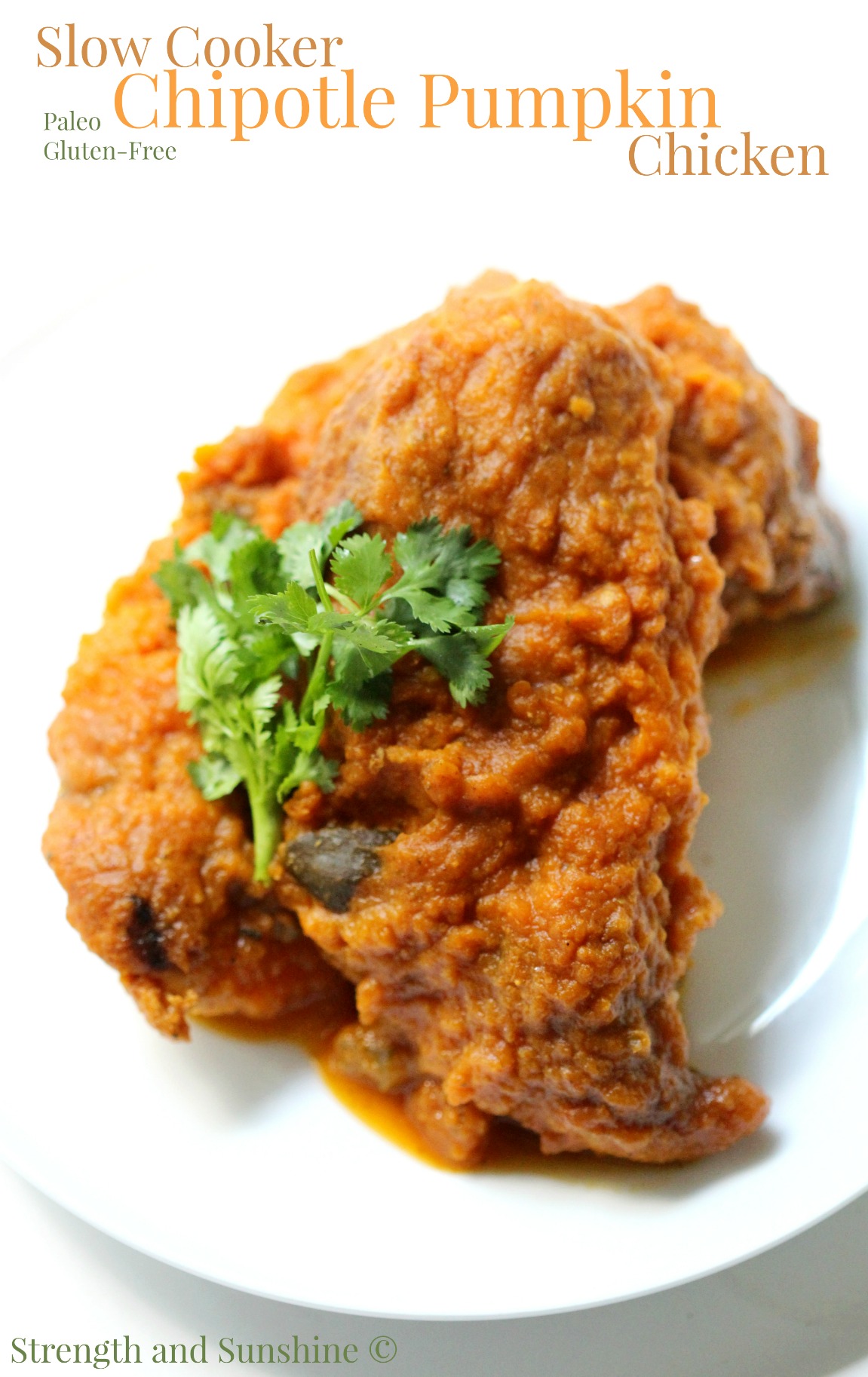Slow Cooker Chipotle Pumpkin Chicken | Strength and Sunshine @RebeccaGF666 The season of slow cookers and pumpkins is in full swing, so combine the two for one delicious healthy dinner! Slow Cooker Chipotle Pumpkin Chicken is a creamy spicy new way to have a great gluten-free and paleo dinner with minimal effort and all the flavor!