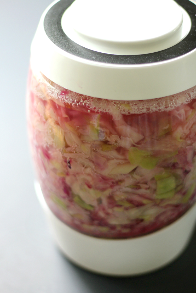 Magic Medicine: How-To Make Easy Homemade Sauerkraut | Strength and Sunshine @RebeccaGF666 An easy way to make homemade sauerkraut that's not only delicious but a powerful and "magic medicine" for improved gut health due to the healing benefits of "real food" probiotics and fermentation! Gluten-Free, Vegan, Paleo, Allergy-Free.