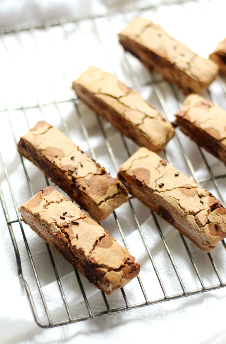 Chocolate Chip Teff Biscotti | Strength and Sunshine @RebeccaGF666 Grab your cup of coffee and a Chocolate Chip Teff Biscotti for a few moments of at-home bakery bliss! A gluten-free, nut-free, allergy-free, and vegan healthy recipe so you can enjoy this Italian classic once again without sacrificing flavor or crunch!