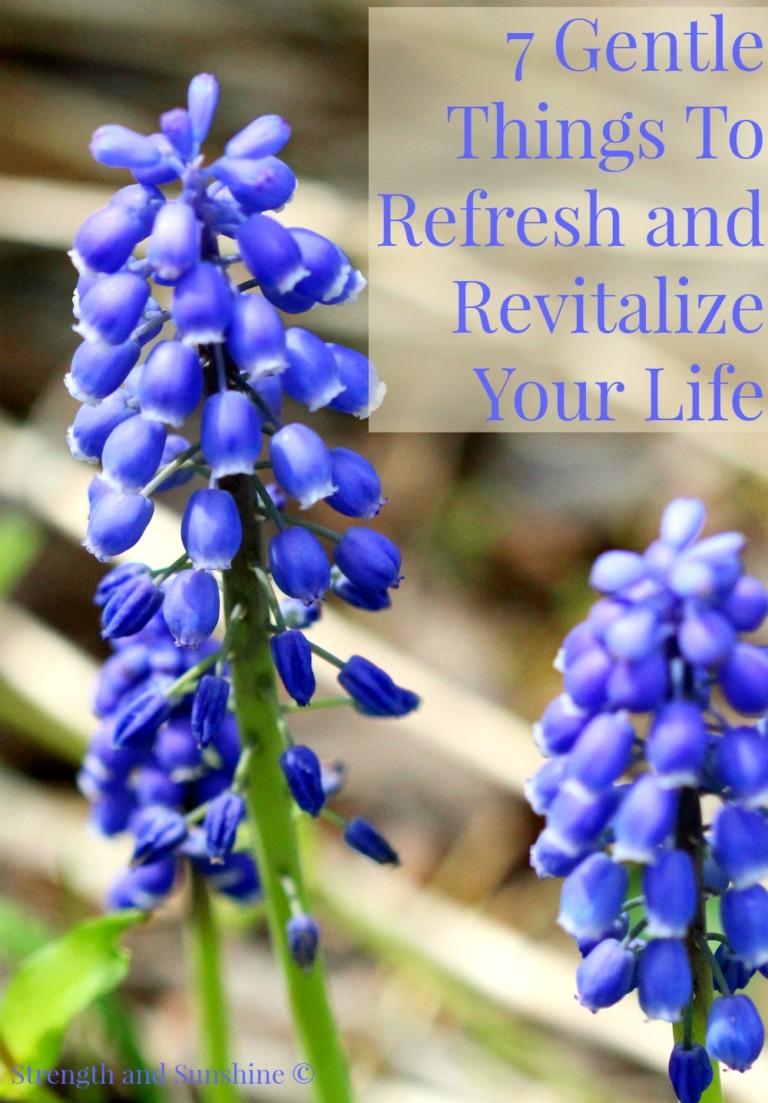 7 Gentle Things To Refresh and Revitalize Your Life