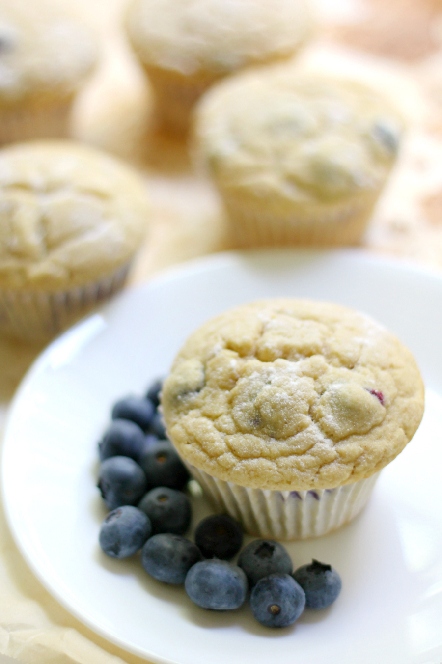 single bakery-style gluten-free blueberry muffin on plate