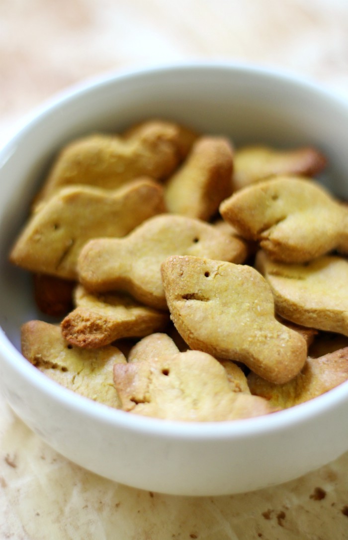 Homemade Gluten-Free + Vegan Goldfish (Allergy-Free, Grain-Free) | Strength and Sunshine @RebeccaGF666 Nothing says childhood more than Goldfish crackers! Now you can make your own Homemade Gluten-Free & Vegan Goldfish that are top 8 allergy-free, grain-free, sugar-free, and secretly protein-packed! A healthy snack recipe mom's and kids will love!