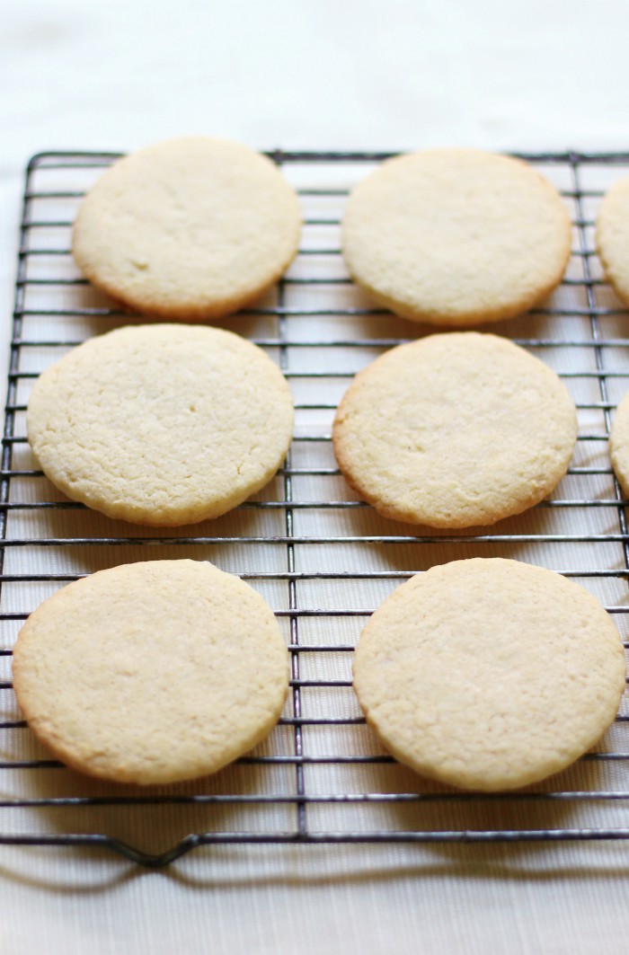 Gluten-Free + Vegan Cut-Out Sugar Cookies with Sugar-Free Icing (Allergy-Free) | Strength and Sunshine @RebeccaGF666 Gluten-Free & Vegan Cut-Out Sugar Cookies that taste exactly like the sweet, buttery, tender delights from your favorite childhood recipe! With a simple sugar-free and natural colored icing, these top-8 allergy-free treats are perfect for any holiday, party, or celebration! Easy to make and fun to decorate! #cookies #glutenfree #vegan #sugarcookies