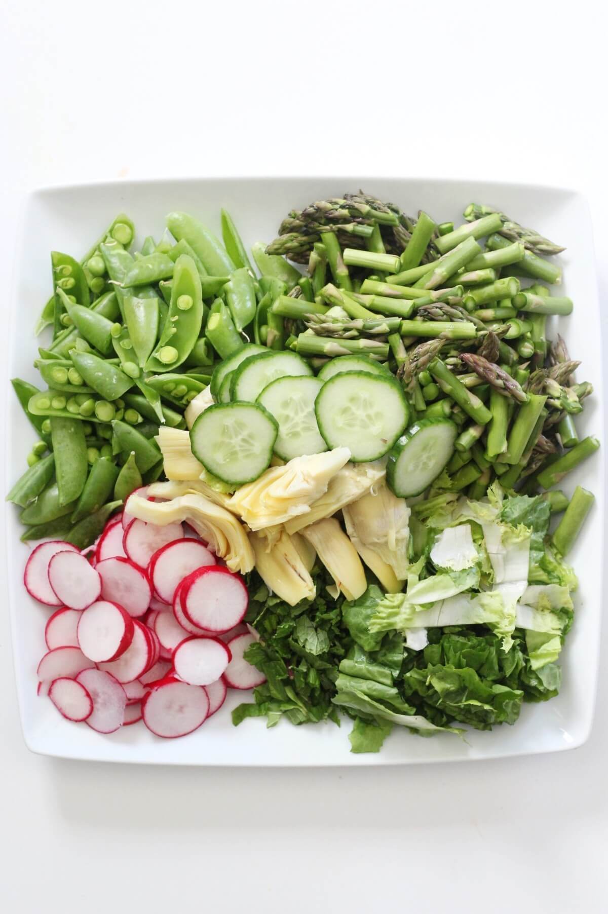 chopped spring salad ingredients on white plate