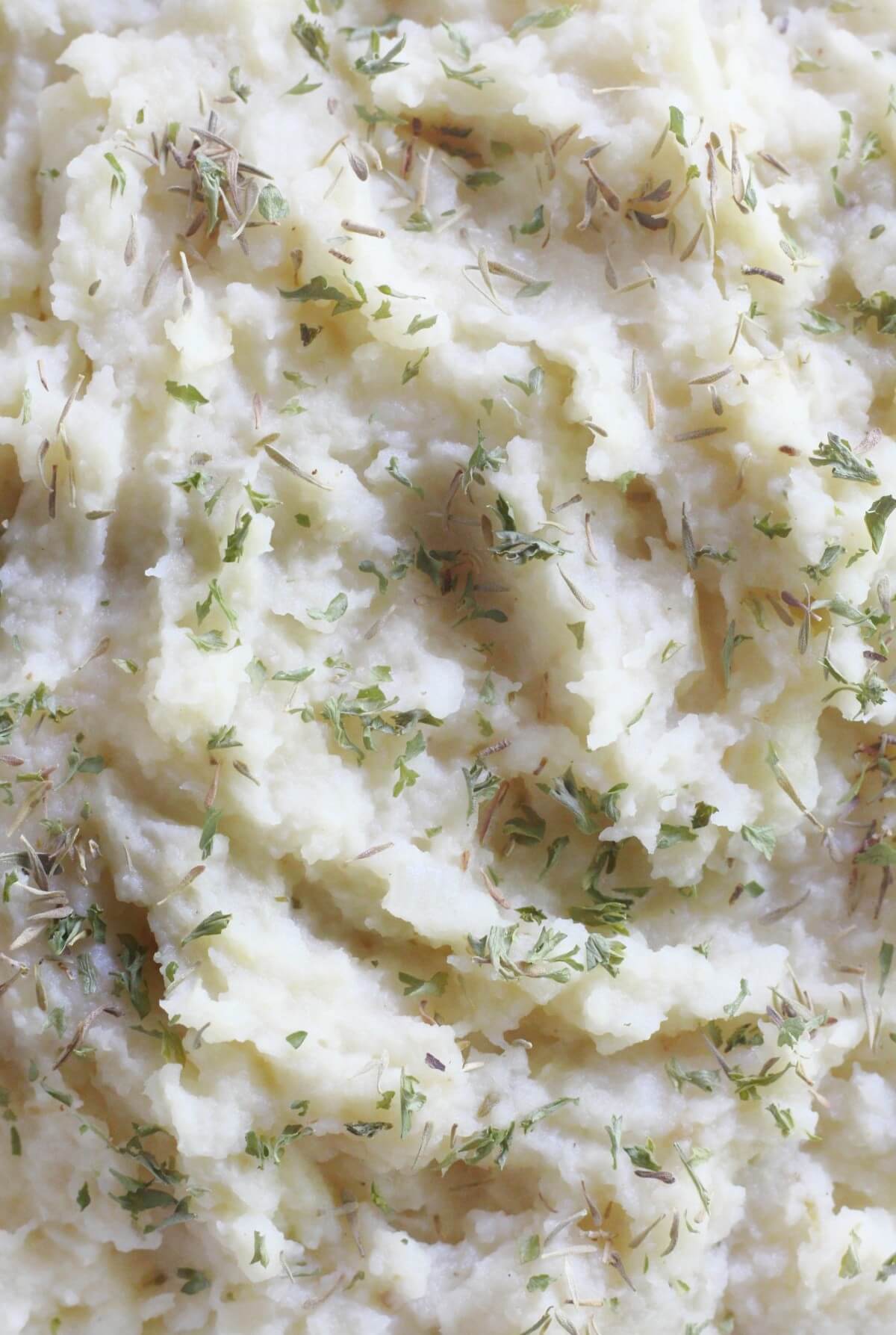 close up of texture of celery root mash