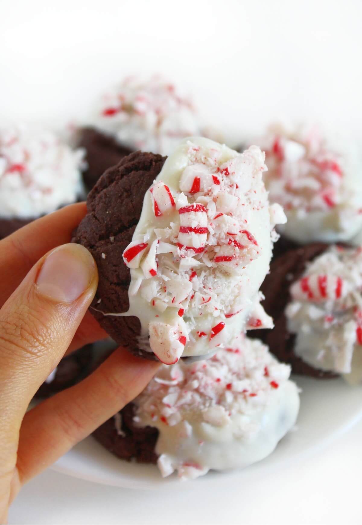 hand holding vegan white chocolate dipped chocolate peppermint bark cookie.