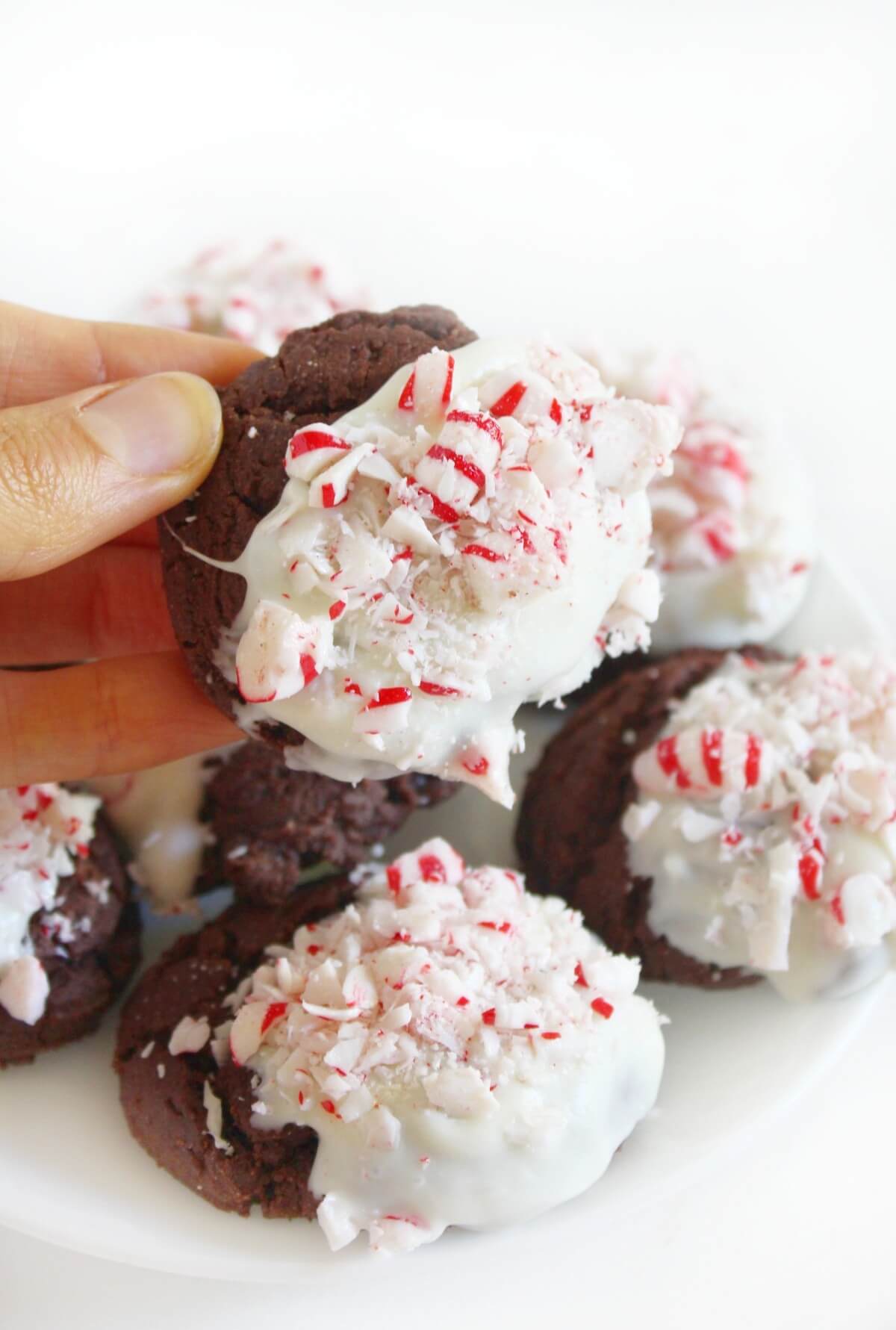 hand holding a chocolate peppermint bark cookie with white chocolate and crushed candy cane pieces.