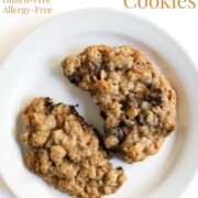 gluten-free vegan chocolate chip oatmeal cookies with image text.